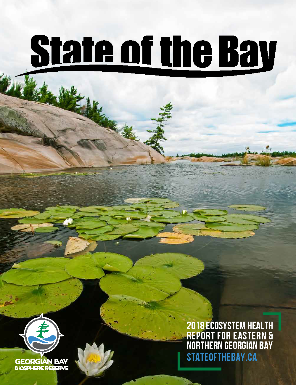The State of the Bay Project